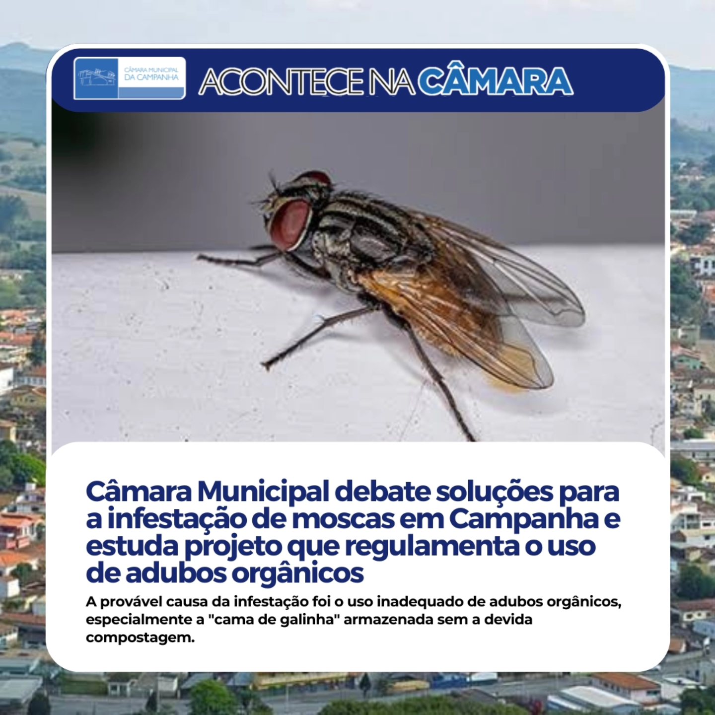 Câmara Municipal debate soluções para a infestação de moscas em Campanha e aprova requerimento para regulamentação do uso de adubos orgânicos